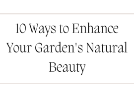 10 Ways to Enhance Your Garden's Natural Beauty