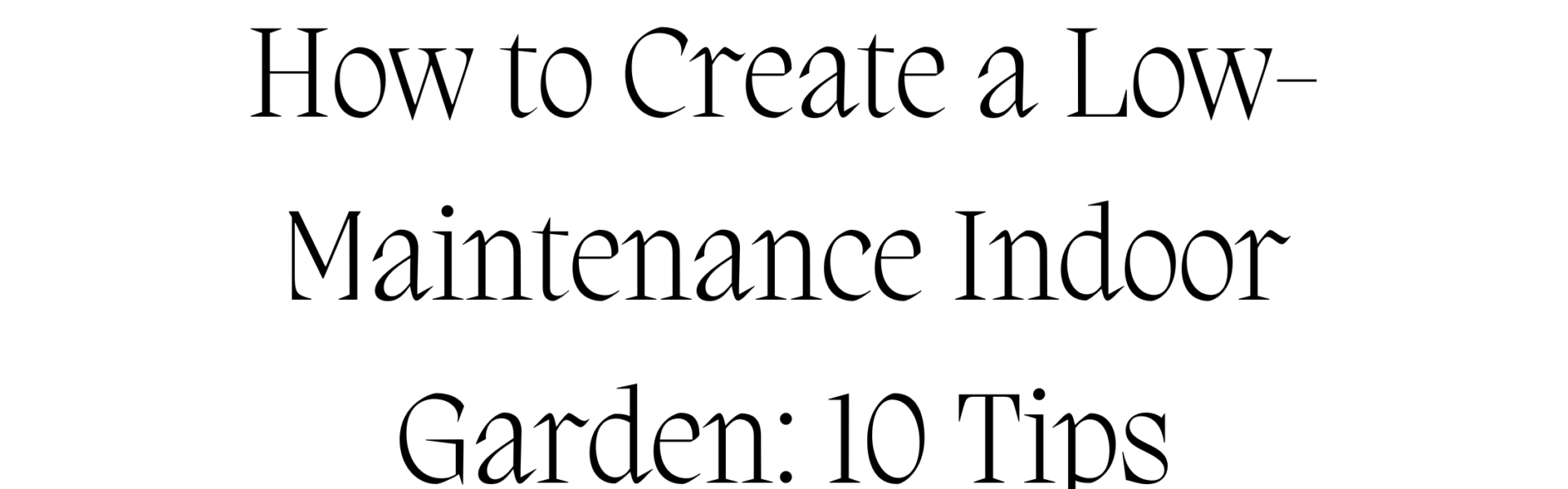 How to Create a Low-Maintenance Indoor Garden 10 Tips