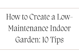 How to Create a Low-Maintenance Indoor Garden 10 Tips