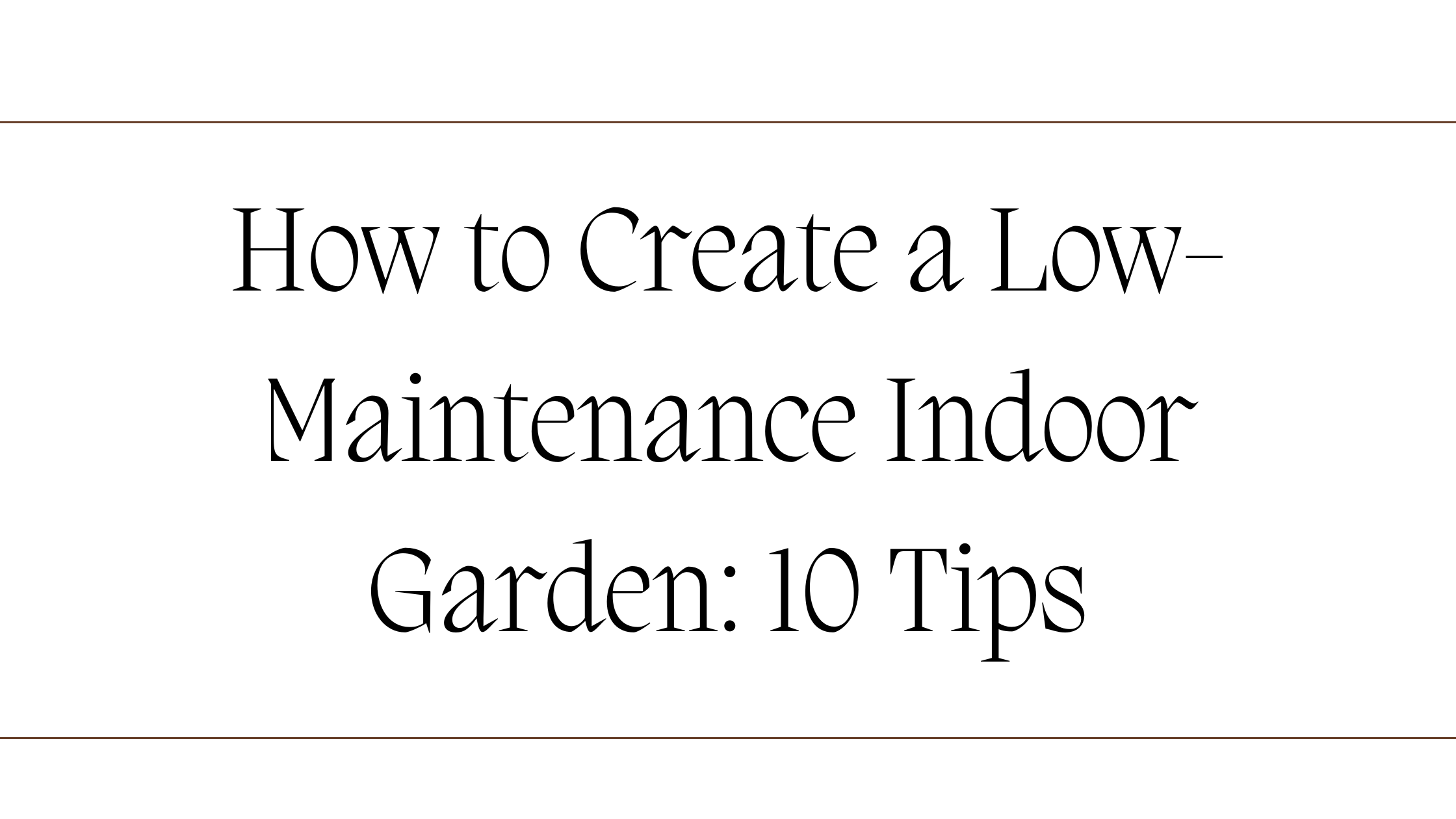 How to Create a Low-Maintenance Indoor Garden 10 Tips