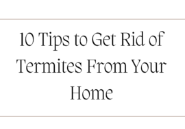 Step-by-Step Guide to Permanently Remove Termites from Your Home