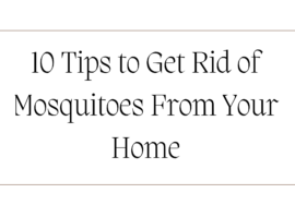 How To Get Rid Of Mosquitoes