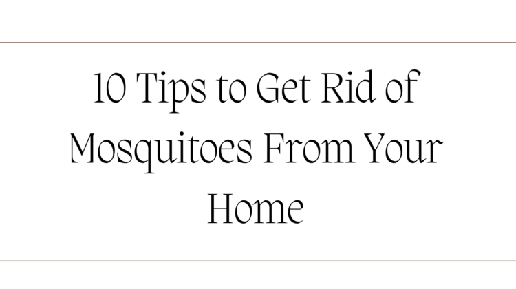 How To Get Rid Of Mosquitoes