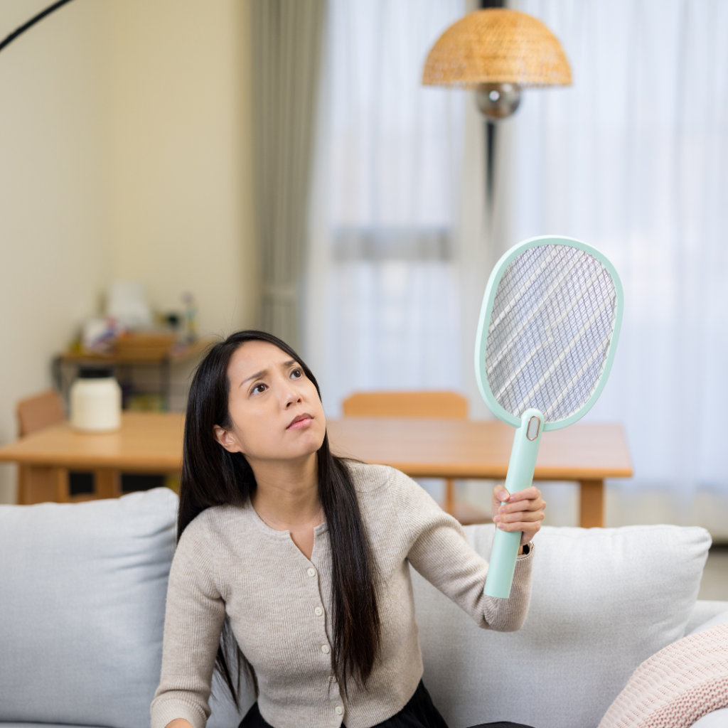 Mosquito Nets