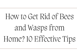 How to Get Rid of Bees and Wasps from Home 10 Effective Tips