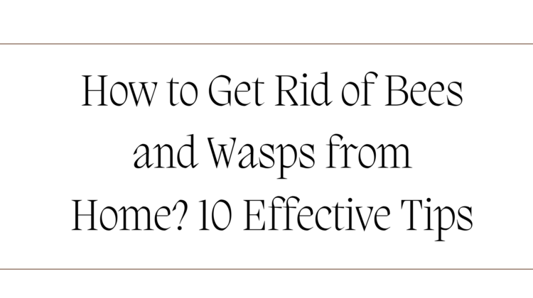 How to Get Rid of Bees and Wasps from Home 10 Effective Tips