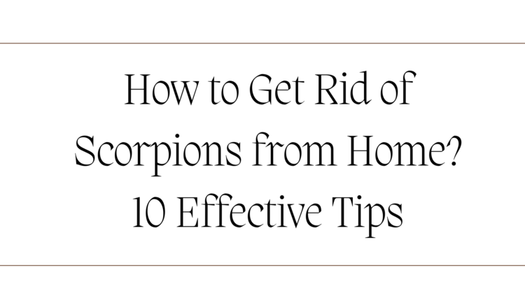 How to Get Rid of Scorpions from Home