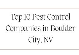 Top 10 Pest Control Companies in Boulder City, NV