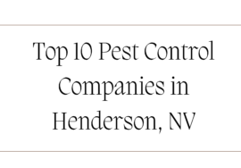 Top 10 Pest Control Companies in Henderson, NV